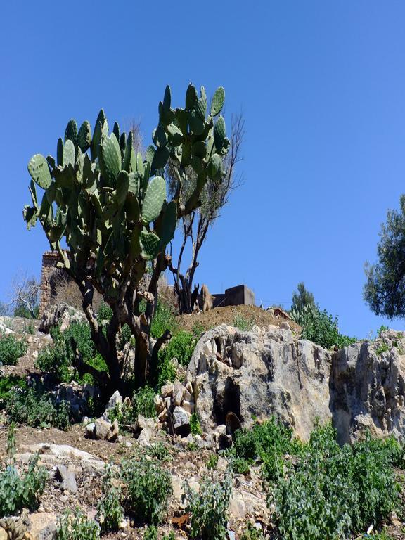 Riad Cascades D'Ouzoud Bagian luar foto