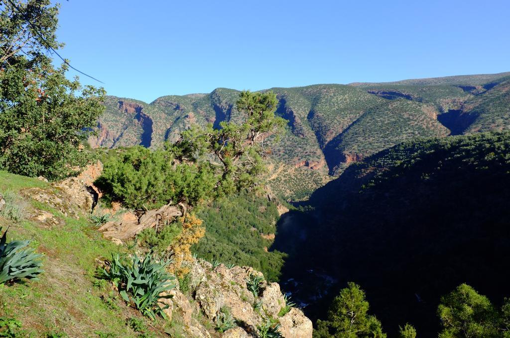 Riad Cascades D'Ouzoud Bagian luar foto
