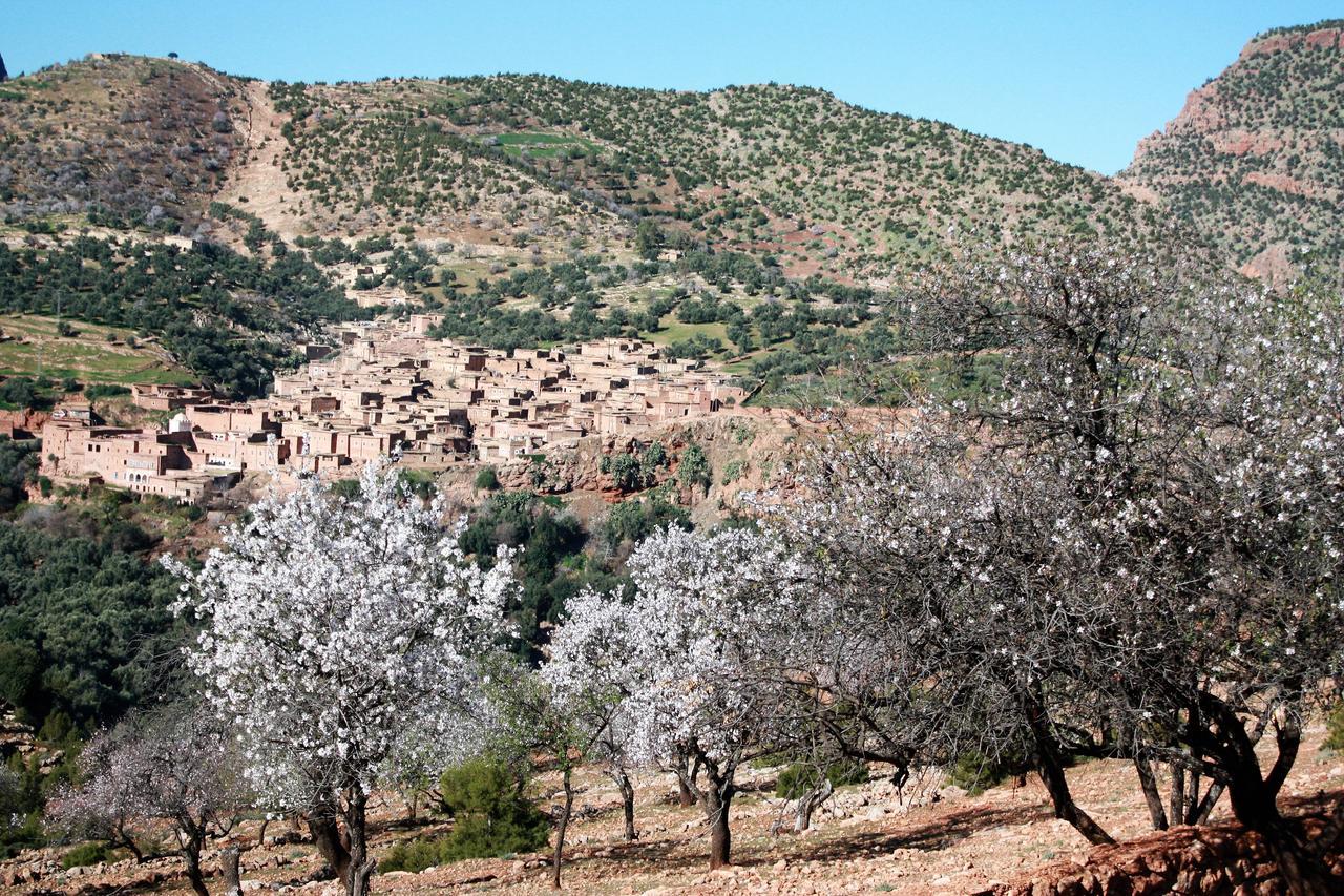 Riad Cascades D'Ouzoud Bagian luar foto